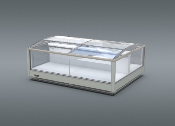 Everest WNEV-17-2500 CCP