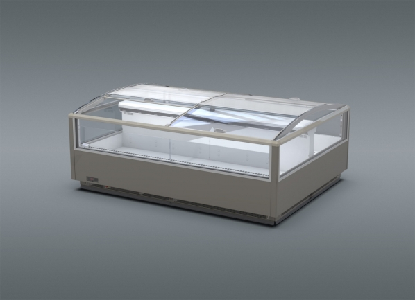 Everest WNEV-27-2500 CCP